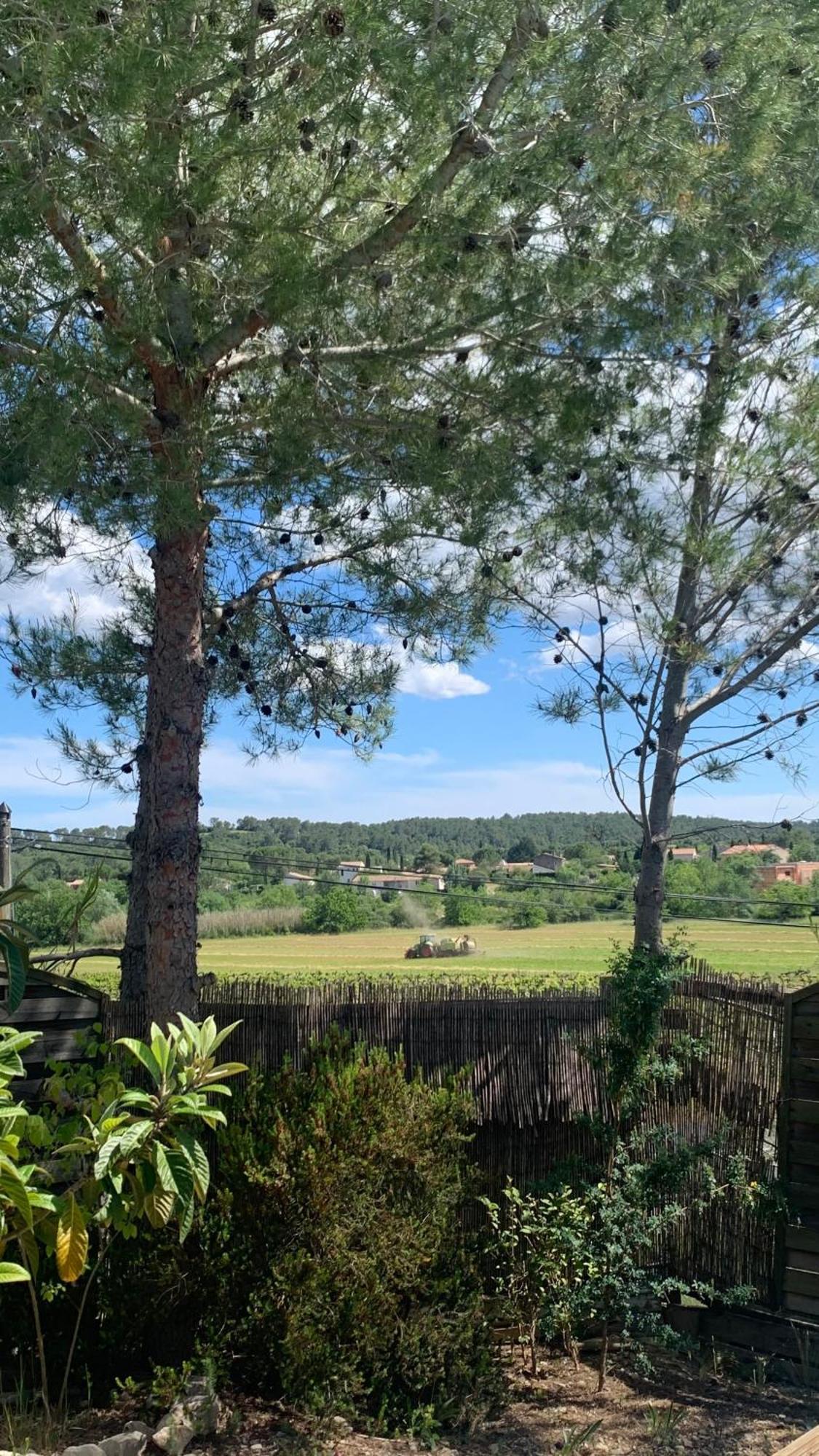 Villa en bordure de colline*piscine*clim*netflix Les Matelles Exterior foto
